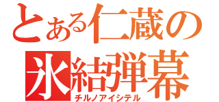 とある仁蔵の氷結弾幕（チルノアイシテル）