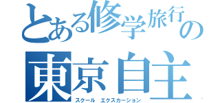 とある修学旅行生の東京自主研修（スクール エクスカーション）