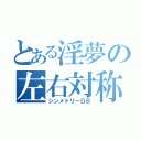 とある淫夢の左右対称（シンメトリーＤＢ）