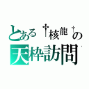 とある†核龍†の天枠訪問（）