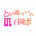 とある通りすがりの甲子園ボーイ（）