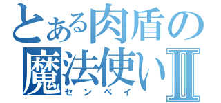 とある肉盾の魔法使いⅡ（センベイ）