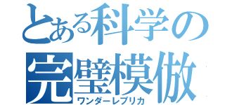 とある科学の完璧模倣（ワンダーレプリカ）