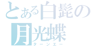 とある白髭の月光蝶（ターンエー）