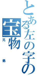 とある左の字の宝物（兄弟）