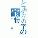 とある左の字の宝物（兄弟）