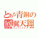 とある青銅の鳳翼天翔（フェニックス）