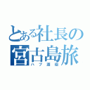 とある社長の宮古島旅（ハブ酒砲）