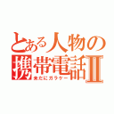 とある人物の携帯電話Ⅱ（未だにガラケー）