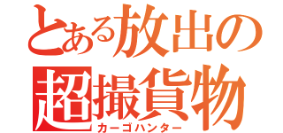 とある放出の超撮貨物（カーゴハンター）