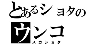 とあるショタのウンコ（スカショタ）