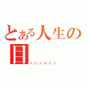 とある人生の目錄（ＡＤＡＭＡＳ）