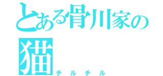 とある骨川家の猫（チルチル）