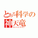 とある科学の神天竜（ゴッドドラゴン）