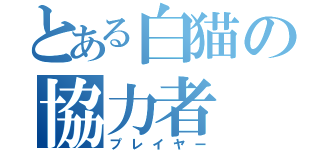 とある白猫の協力者（プレイヤー）