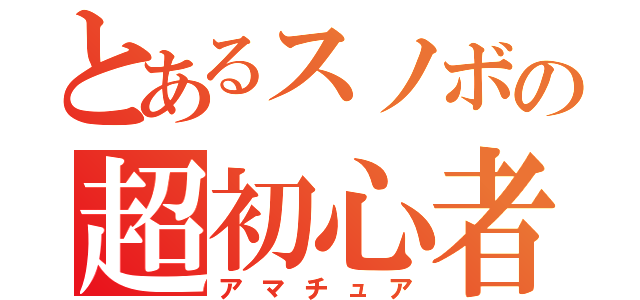 とあるスノボの超初心者（アマチュア）