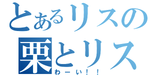 とあるリスの栗とリス（わーい！！）