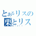 とあるリスの栗とリス（わーい！！）