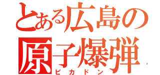 とある広島の原子爆弾（ピカドン）