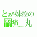 とある妹控の腎痛　丸（ＳＹ２００８）