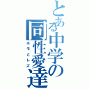 とある中学の同性愛達（ホモとレズ）