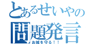 とあるせいやの問題発言（お城を守る！！）