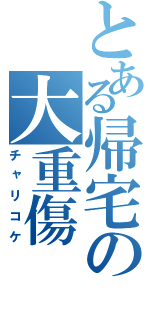 とある帰宅の大重傷（チャリコケ）