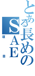 とある長めのＳＡＥ（項目）