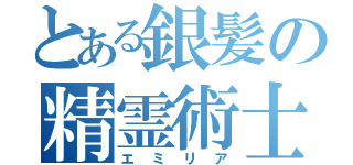 とある銀髪の精霊術士（エミリア）