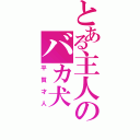 とある主人のバカ犬（平賀才人）