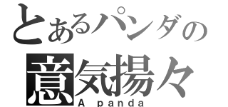 とあるパンダの意気揚々（Ａ ｐａｎｄａ）