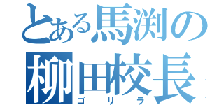 とある馬渕の柳田校長（ゴリラ）