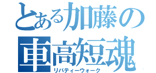 とある加藤の車高短魂（リバティーウォーク）