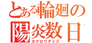 とある輪廻の陽炎数日（カゲロウデイズ）