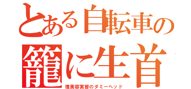 とある自転車の籠に生首（理美容実習のダミーヘッド）