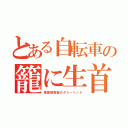 とある自転車の籠に生首（理美容実習のダミーヘッド）