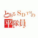 とあるＳＤＴＭの平隊員（騎将）