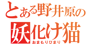 とある野井原の妖化け猫（おまもりひまり）