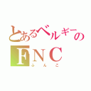 とあるベルギー産のＦＮＣ（ふんこ）