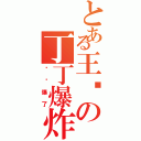 とある王欢の丁丁爆炸（你屌爆了）