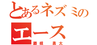 とあるネズミのエース（藤根 勇太）