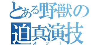 とある野獣の迫真演技（ヌッ！）