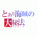 とある海賊の大秘法（ワンピース）