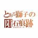 とある獅子の隕石痕跡（フレデフォート）