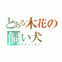 とある木花の飼い犬（アデュークン）