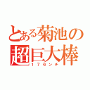 とある菊池の超巨大棒（１７センチ）