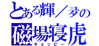 とある輝／夛の磁場寝虎（キョッピー）