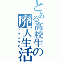 とある高校生の廃人生活（ニチヨウビ）