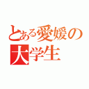 とある愛媛の大学生（）