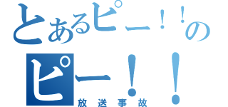 とあるピー！！のピー！！（放送事故）